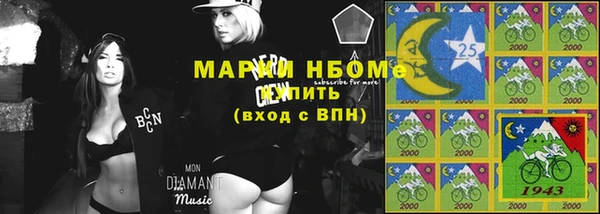 индика Медногорск