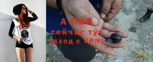 индика Медногорск