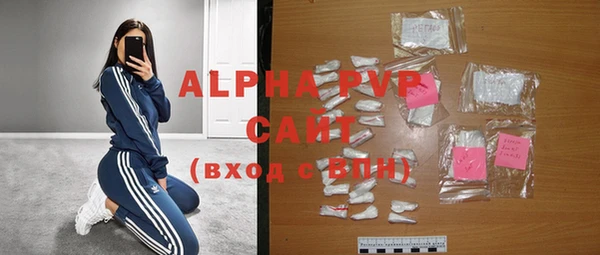 индика Медногорск