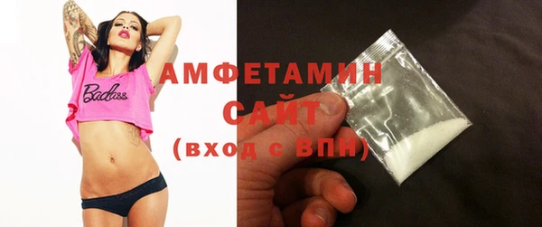 индика Медногорск