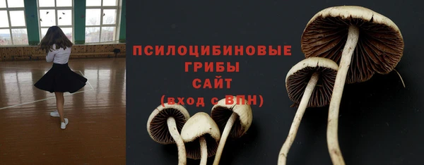 ALPHA-PVP Дедовск