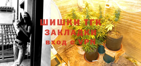 индика Медногорск