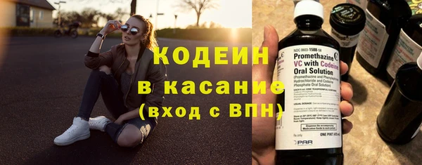 индика Медногорск