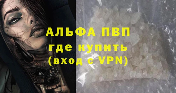 индика Медногорск