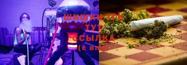 индика Медногорск