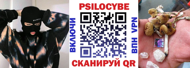 Псилоцибиновые грибы мицелий  Новый Оскол 